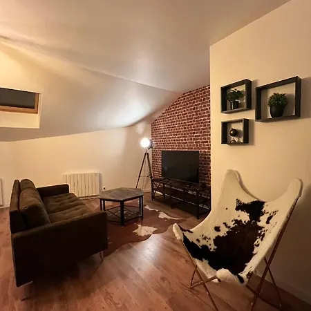 Beau T3 Style Industriel N20 Orly Paris Wifi Underground Industry Apartment